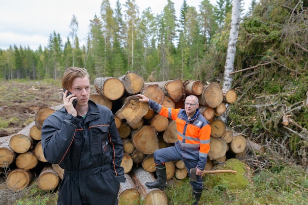 Na czym polega racjonalna gospodarka leśna i dlaczego jest tak ważna?