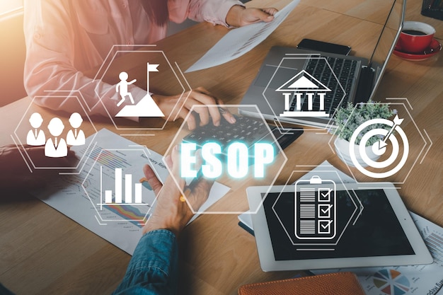 Jakie jest znaczenie msp w gospodarce?